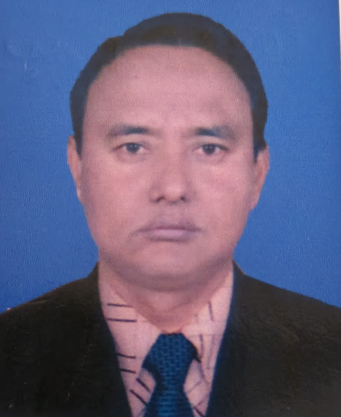 CHITTARANJAN ROY — ASSISTANT PROFESSOR (PHYSICS)